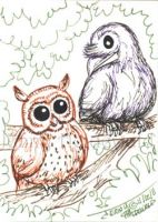 An Owl and a Raven